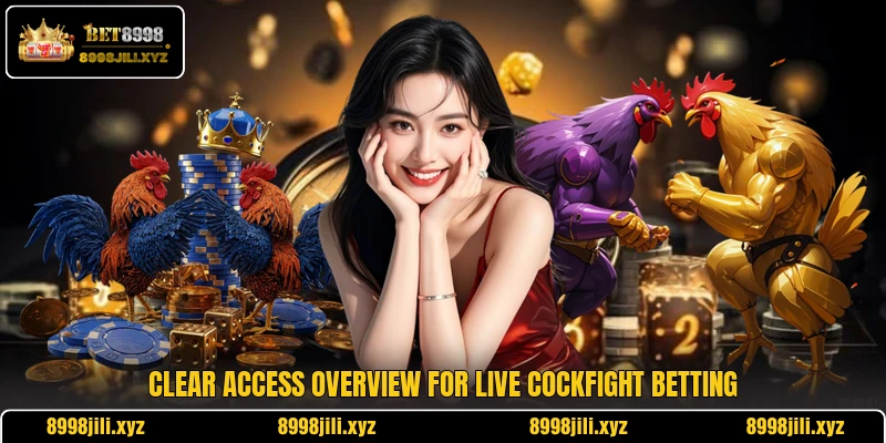 Clear access overview for live cockfight betting