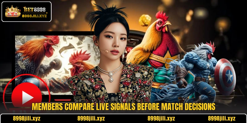 Members compare live signals before match decisions Members compare live signals before match decisions
